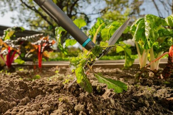 Gardena 17310-20 PureLine Bahçe Çapası