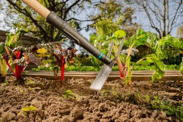 Gardena 17310-20 PureLine Bahçe Çapası