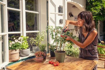 Gardena 12212-20 Fresh Cut Makas