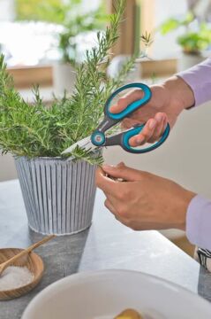 Gardena 12214-20 Herb Cut Makas