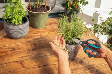 Gardena 12214-20 Herb Cut Makas