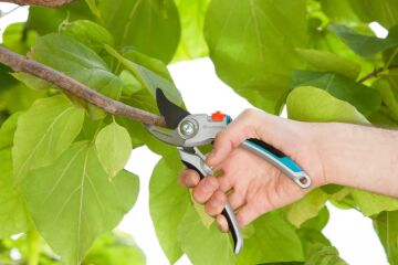 Gardena 08906-20 Alüminyum Bahçe Budama Makası B/L