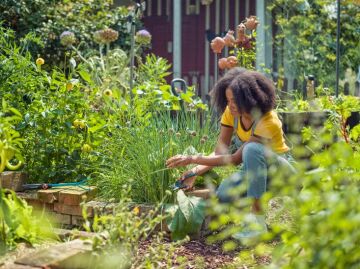 Gardena 12203-20 Bahçe Budama Makası ExpertCut