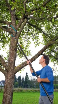 Gardena 00691-20 combisystem Yay Testere