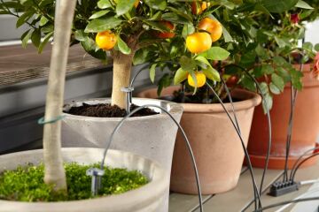 Gardena 01265-20 Tatil Sulama Seti