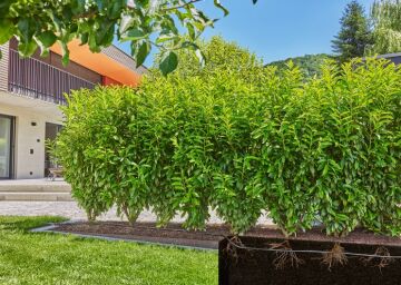 Gardena 13501-20 Mikro-Damlama Çit/Çalı Sulama Seti 50m