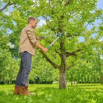 Gardena 12031-20 Dal Makası EasyCut L