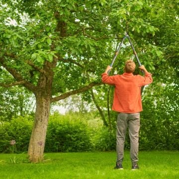 Gardena 12041-20 Dal Makası TeleCut Pro L