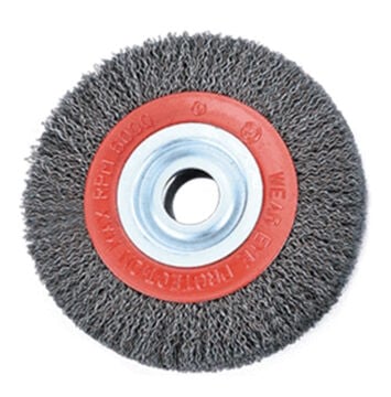 Tayrex Daire Fırça 150mm Saçaklı