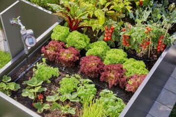 Gardena 13455-20 Mikro Damlama Sulama Yükseltilmiş Yatak/Yatak Seti (35 bitki)