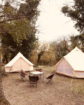 CAMPOUT 4 MT KANVAS ÇADIR